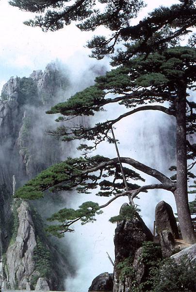 Huangshan_Yingkesong