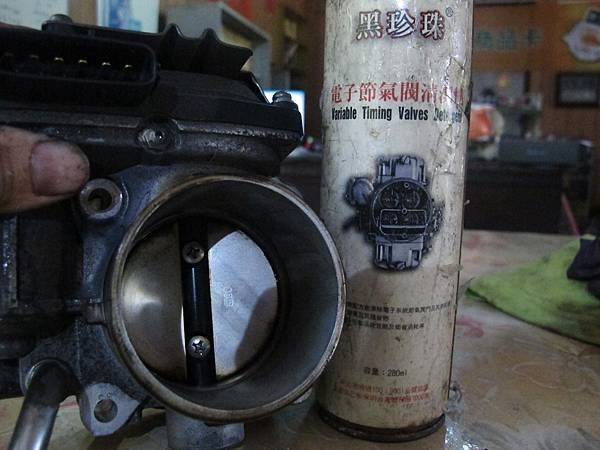 202309 FORTIS 積碳