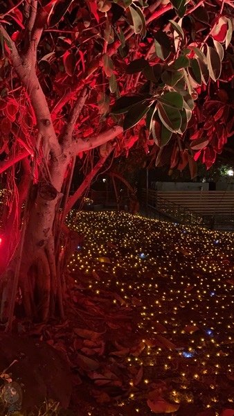 屏東 四重溪溫泉公園 燈海
