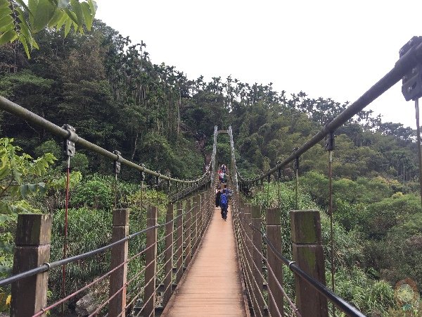 雲林古坑 小天梯橋面
