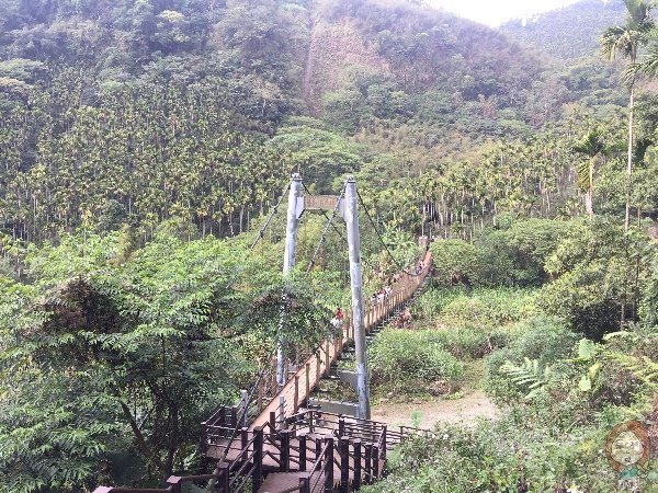雲林古坑 小天梯