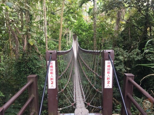 雲林古坑 情人橋