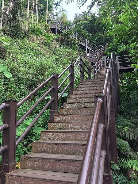 雲林古坑 華山溪吊橋園區內