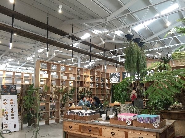嘉義梅山 空氣圖書館內