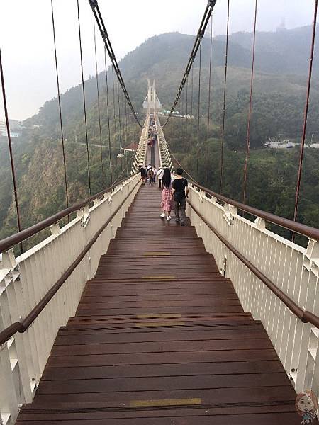 嘉義梅山 太平雲梯橋面