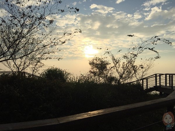 嘉義梅山 雲之南道：茶園步道景色