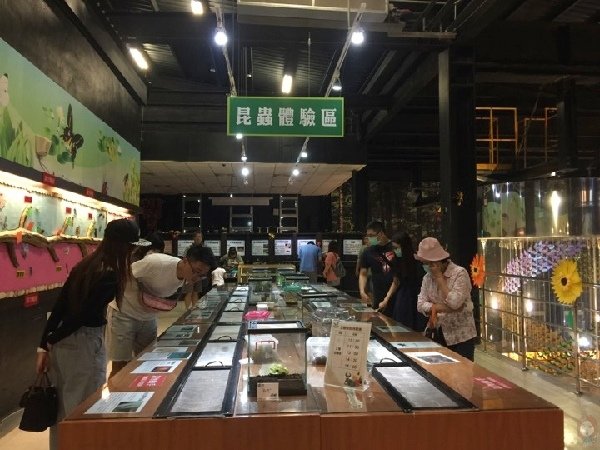 嘉大昆蟲館 昆蟲體驗區.jpg