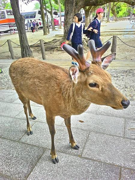 P_20160506_102008_HDR.jpg