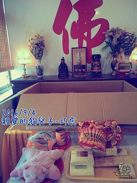 16-09-04-14-48-50-373_deco.jpg