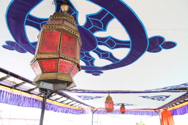 14-IMG_5101