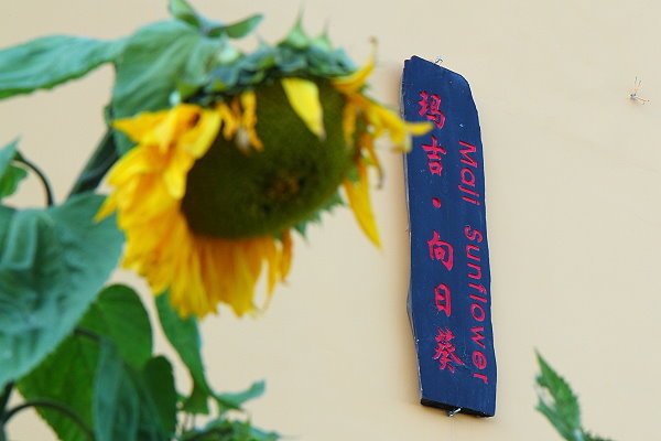 02-IMG_1584.JPG