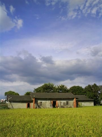 旋轉DSC01662.JPG