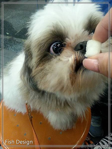 20160220_211617_meitu_18.jpg