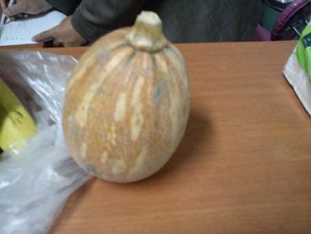 IMG_20111224_144317.jpg