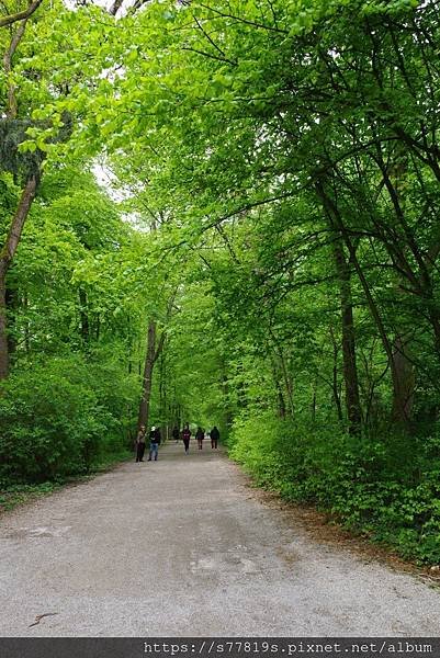 p155724850926.jpg