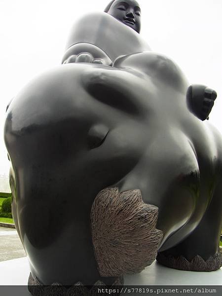 p132137029135.jpg
