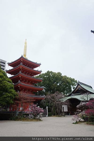 20230224 福岡Day 2 (31).JPG