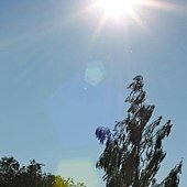 IMG_1498.jpg