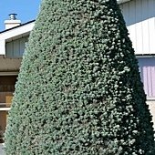 IMG_1507.jpg