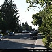 IMG_1510.jpg
