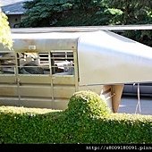 IMG_1515.jpg