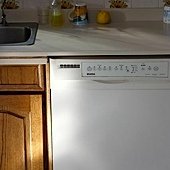 IMG_1531.jpg