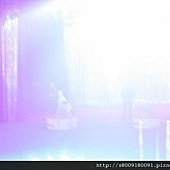 IMG_2818.jpg