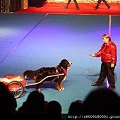 IMG_2820.jpg