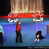 IMG_2821.jpg