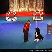 IMG_2822.jpg