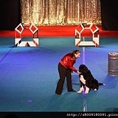 IMG_2823.jpg