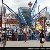 IMG_3227.jpg