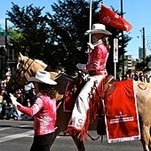 IMG_2126.jpg