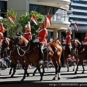 IMG_2232.jpg
