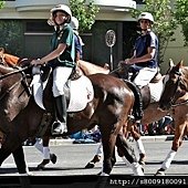 IMG_2554.jpg