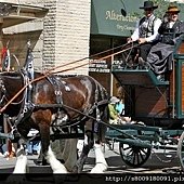 IMG_2641.jpg