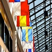 IMG_1615.jpg