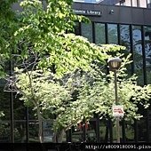 IMG_1734.jpg
