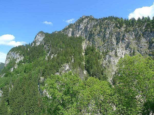 P1060111.JPG