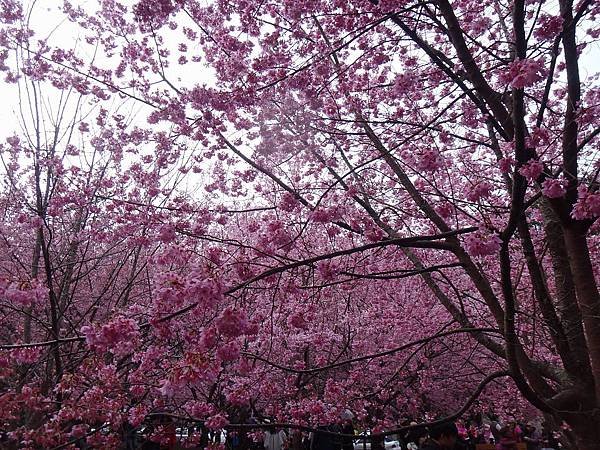 DSC01045