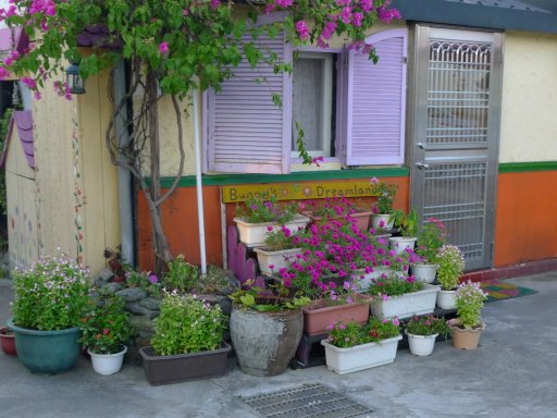1P1130217.jpg