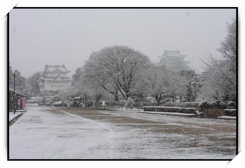 名古屋城(Nagoya Castle)02