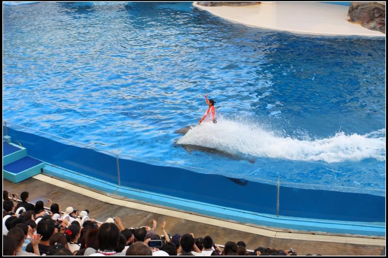 遠雄海洋公園14