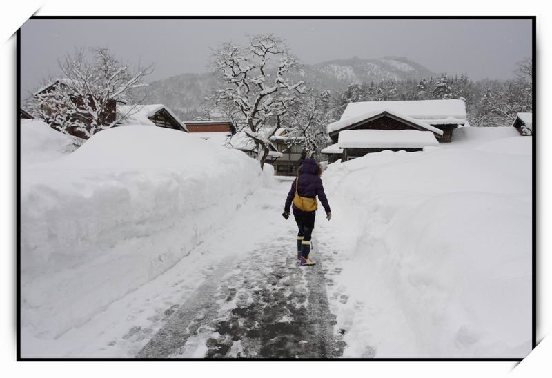 白川鄉(Shirakawa-go)13