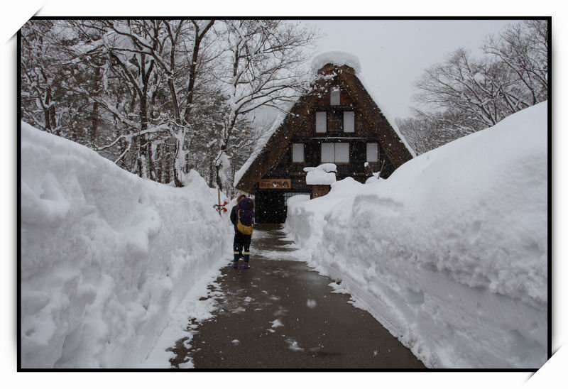 白川鄉(Shirakawa-go)35