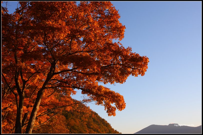 支笏湖(Lake Shikotsu)15