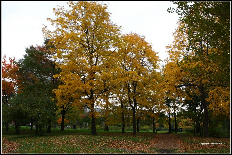 中島公園(Nakajima Park)06