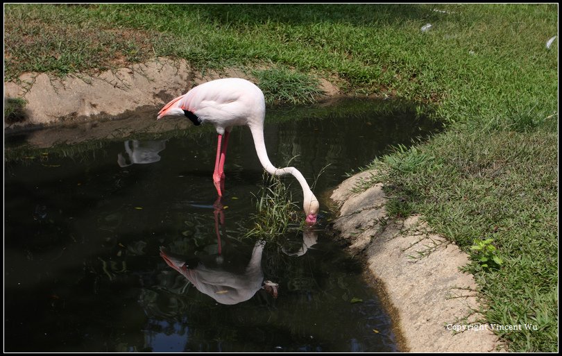 新竹市立動物園03