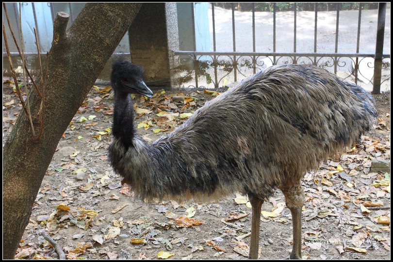 新竹市立動物園05