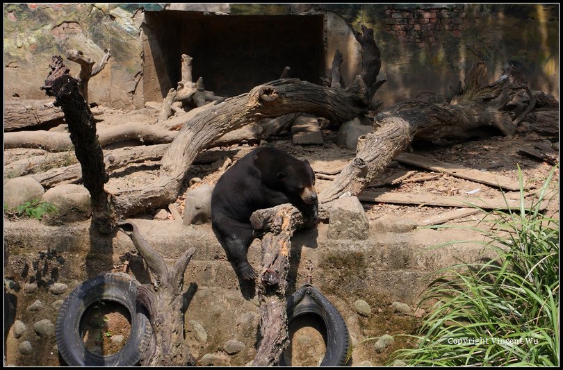 新竹市立動物園07